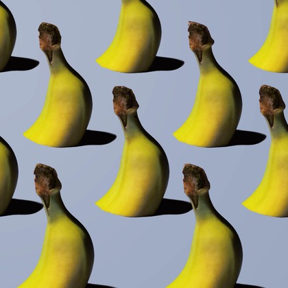 スタジオ11が撮影した「:albumName」の写真