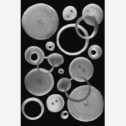 永山航平が撮影した商品/物撮りの写真