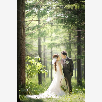 石栗写真館が撮影した「:albumName」の写真