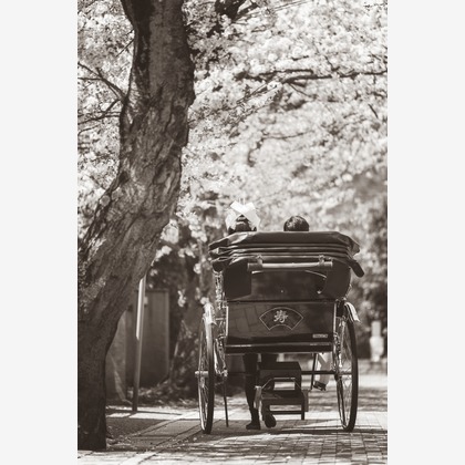 ヨッシ～が撮影した「:albumName」の写真