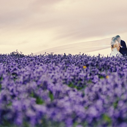 AMVER inc.が撮影したウェディングや家族、ビジネスの写真