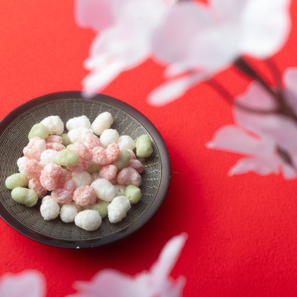 写真屋ごんちゃんが撮影した「:albumName」の写真