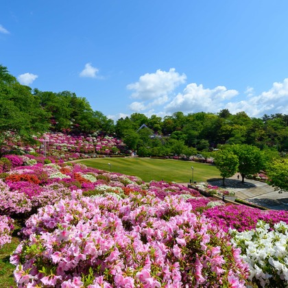 北野隼人が撮影したウェディングや家族、ビジネスの写真