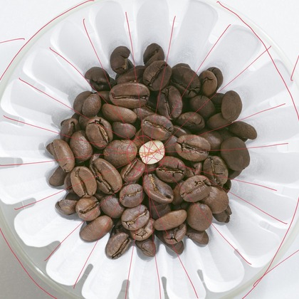 ワイヤリングが撮影した店舗/オフィス/サロン撮影/料理撮影の写真