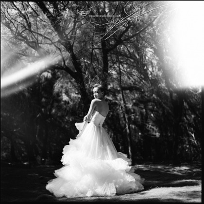 Trust photoが撮影したウェディングや家族、ビジネスの写真