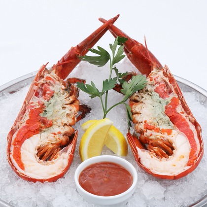 森安　照が撮影した「:albumName」の写真