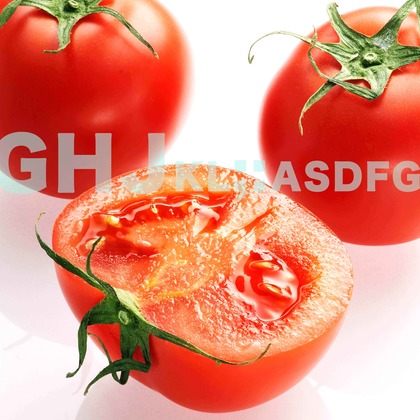 西原毅が撮影した料理撮影の写真