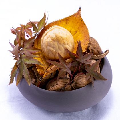 合同会社めろんぱん・ふぉとが撮影した「:albumName」の写真