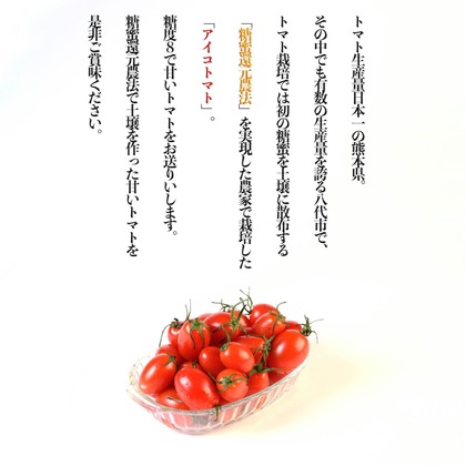 品川写真事務所が撮影した「:albumName」の写真