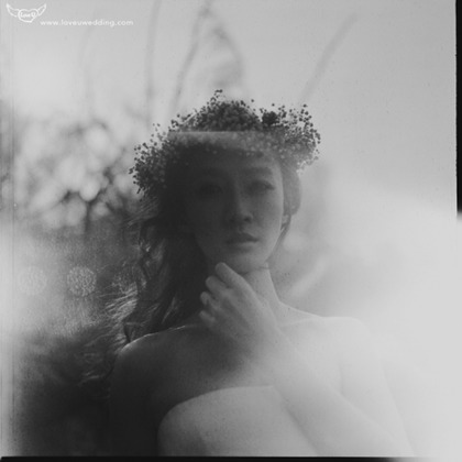 Trust photoが撮影したウェディングや家族、ビジネスの写真