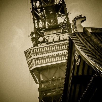 有光こうじ写真事務所が撮影した「:albumName」の写真