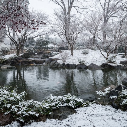 スタジオ桜が撮影した店舗/オフィス/サロン撮影の写真