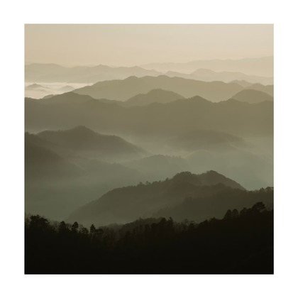 森位敦樹が撮影した「:albumName」の写真