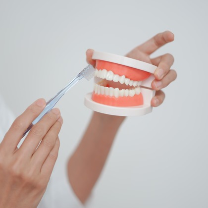 合同会社Joy Stormが撮影した「:albumName」の写真