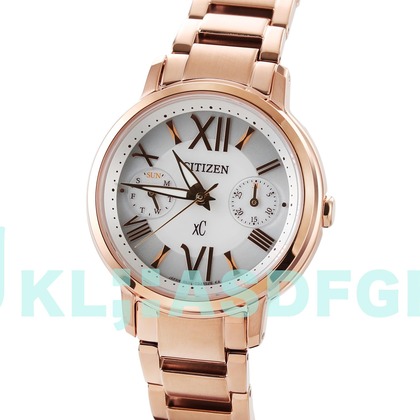 西原毅が撮影した「:albumName」の写真