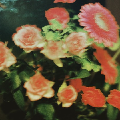 高田来未が撮影した「:albumName」の写真