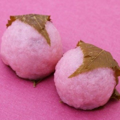 森安　照が撮影した「:albumName」の写真