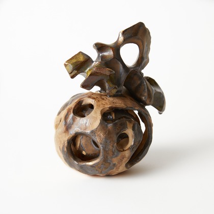 菅野恵太が撮影した「:albumName」の写真