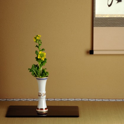 スタジオ桜が撮影した商品/物撮りの写真