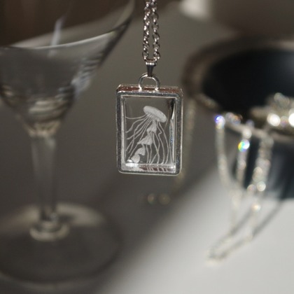 渡辺真央が撮影した「:albumName」の写真