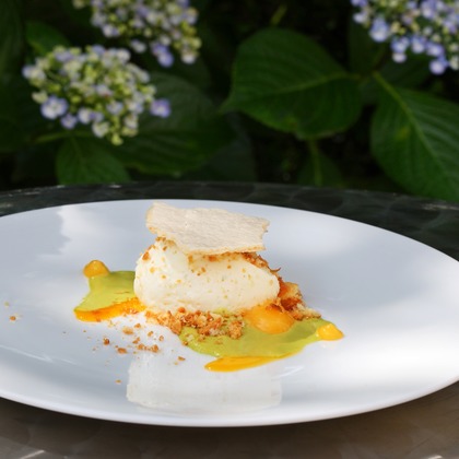 森安　照が撮影したウェディングや家族、ビジネスの写真