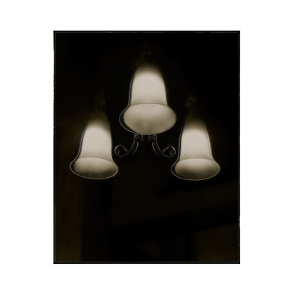 岡村公平が撮影したその他の写真