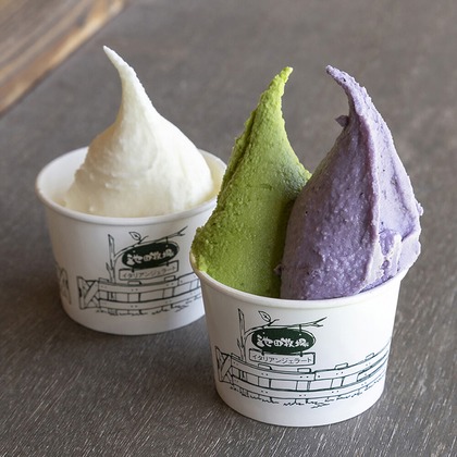 株式会社SANYO-CYP studioUPが撮影した「:albumName」の写真