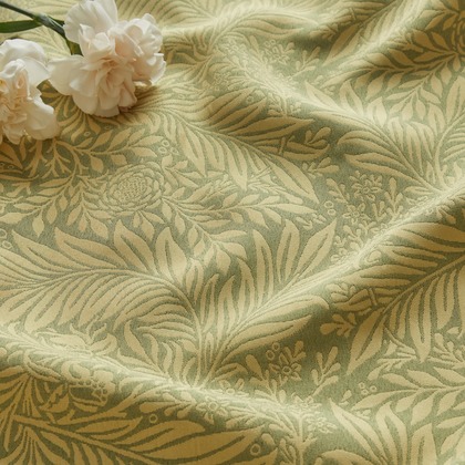 菅野恵太が撮影した「:albumName」の写真