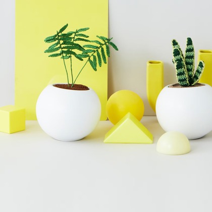 白井由香里写真事務所が撮影した「:albumName」の写真