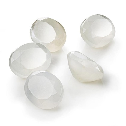 有限会社スタジオホリデーが撮影した「:albumName」の写真