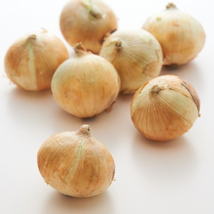 ESCAPEが撮影した料理撮影の写真