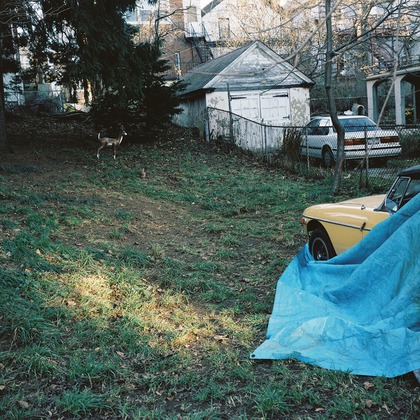 森田寫眞館が撮影した「:albumName」の写真