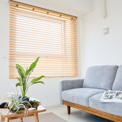 菅野恵太が撮影した「:albumName」の写真