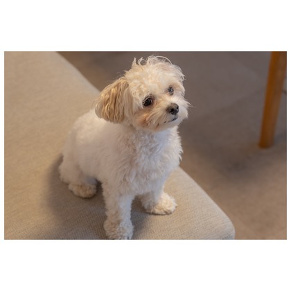 Tagano Photograph 合同会社が撮影したウェディングや家族、ビジネスの写真