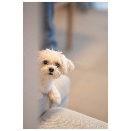 Tagano Photograph 合同会社が撮影したウェディングや家族、ビジネスの写真