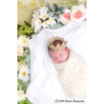 かわもとえつこが撮影した「:albumName」の写真