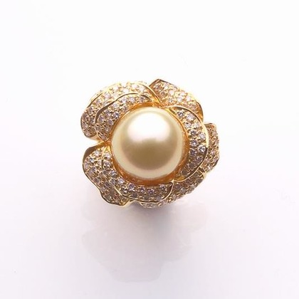 A&K STUDIO CO.,LTD.（上野 晃嗣）が撮影した「:albumName」の写真