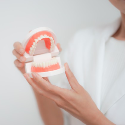 合同会社Joy Stormが撮影した「:albumName」の写真