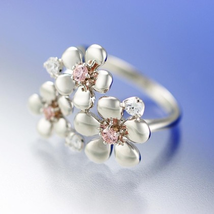 有限会社スタジオホリデーが撮影した「:albumName」の写真