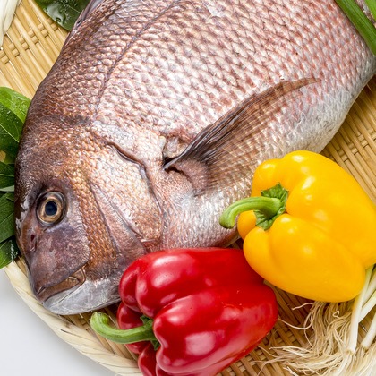 合同会社めろんぱん・ふぉとが撮影した料理撮影の写真