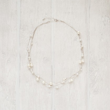 なかがわさとみが撮影した「:albumName」の写真