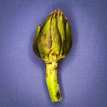 有光こうじ写真事務所が撮影した「物撮り」の写真