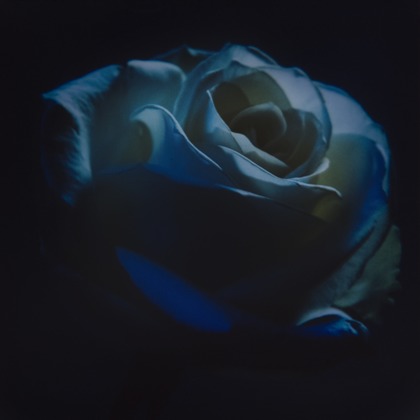 岡村公平が撮影した商品/物撮りの写真