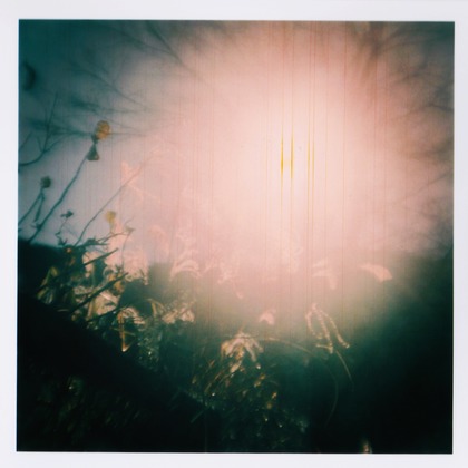 高田来未が撮影した「:albumName」の写真