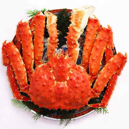 森安　照が撮影した「:albumName」の写真