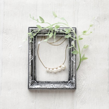 なかがわさとみが撮影した「:albumName」の写真