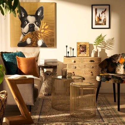 西澤 大和が撮影した「:albumName」の写真