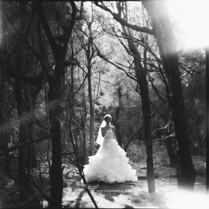 Trust photoが撮影したウェディングや家族、ビジネスの写真