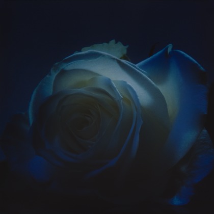 岡村公平が撮影した商品/物撮りの写真