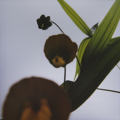 岡村公平が撮影した商品/物撮りの写真